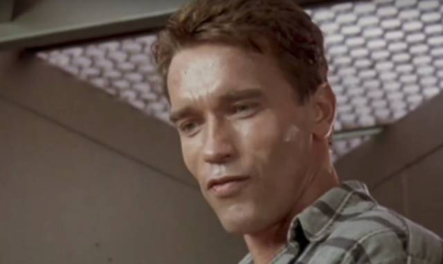 20 Educating Facts About Arnie
