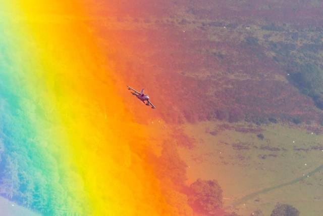 Daily Picdump