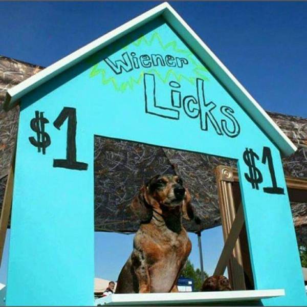 Daily Picdump