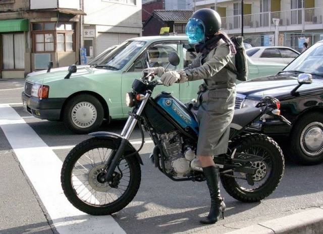 Daily Picdump