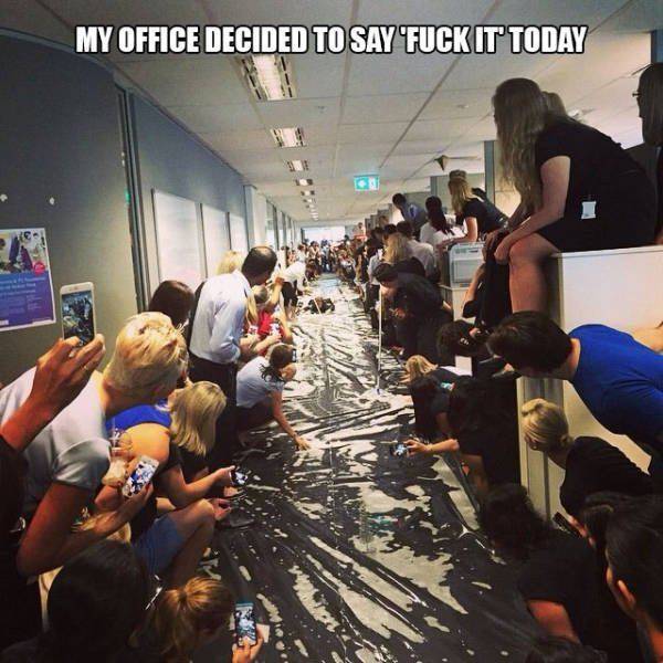 Daily Picdump