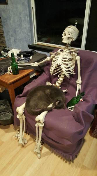 Daily Picdump