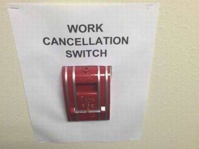 Daily Picdump