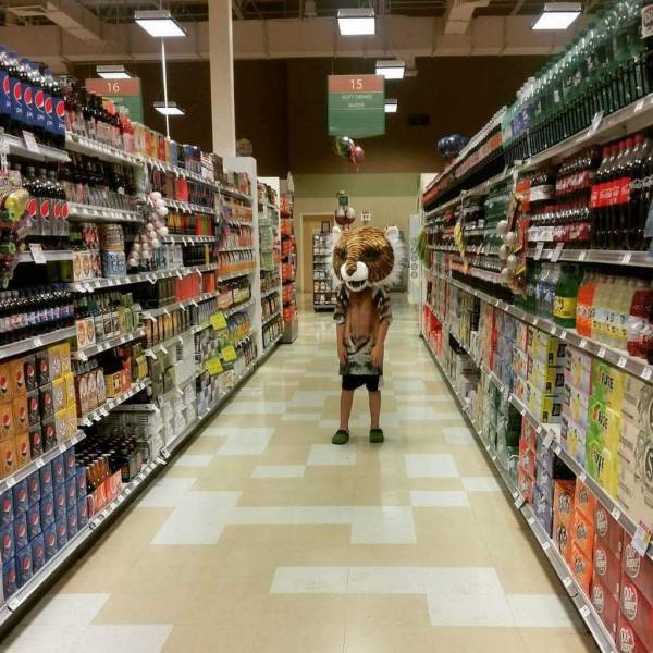 Daily Picdump
