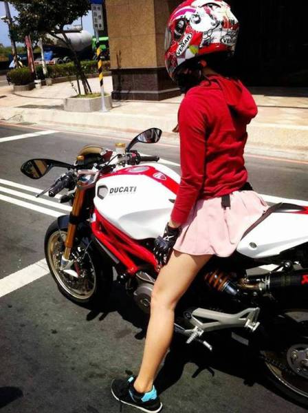 Daily Picdump