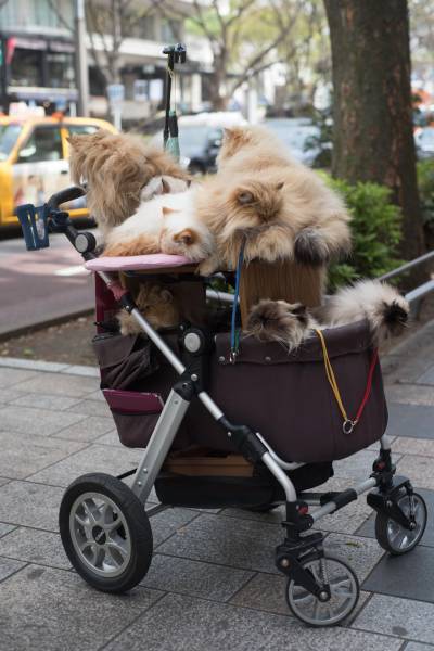 Daily Picdump