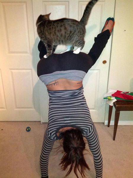 morning picdump 52 pics 11.html - 52 HD Photos | Premium Gallery 2017