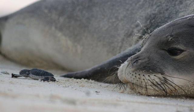 daily picdump 95 pics 38.html - 95 HD Photos | Premium Gallery 2017