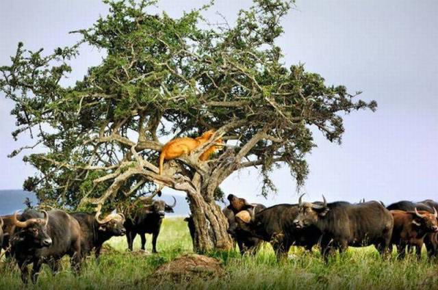 daily picdump 95 pics 38.html - 95 HD Photos | Premium Gallery 2017