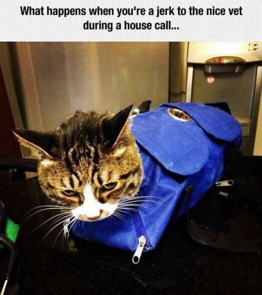 daily picdump 95 pics 38.html - 95 HD Photos | Premium Gallery 2017