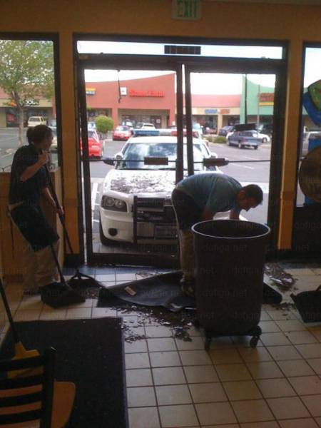 daily picdump 95 pics 38.html - 95 HD Photos | Premium Gallery 2017