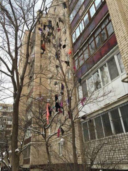 daily picdump 95 pics 38.html - 95 HD Photos | Premium Gallery 2017