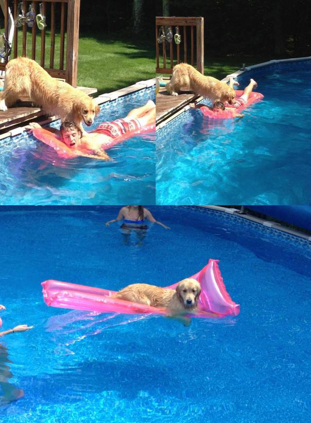 daily picdump 95 pics 38.html - 95 HD Photos | Premium Gallery 2017