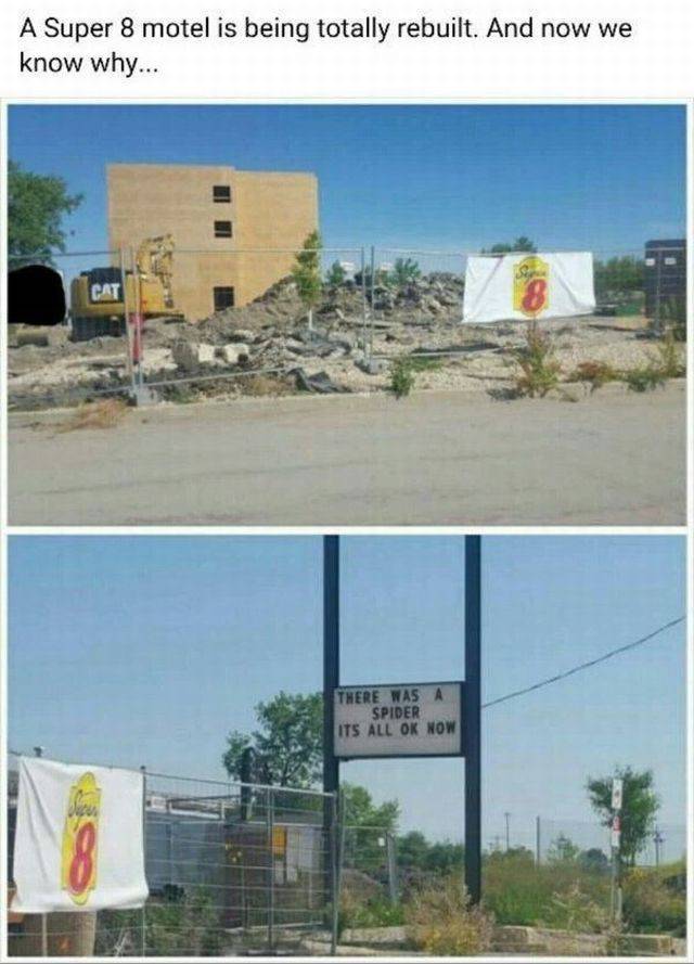 daily picdump 95 pics 38.html - 95 HD Photos | Premium Gallery 2017