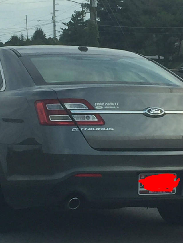 morning picdump 49 pics 16.html - 49 HD Photos | Premium Gallery 2017