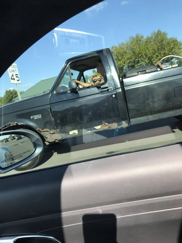 morning picdump 49 pics 16.html - 49 HD Photos | Premium Gallery 2017