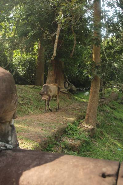 Pictures That Will Make You Look Twice