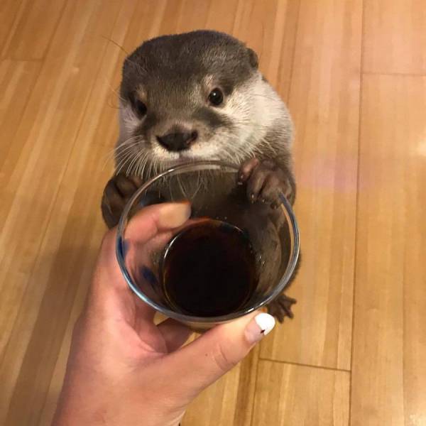 daily picdump 95 pics 30.html - 95 HD Photos | Premium Gallery 2017