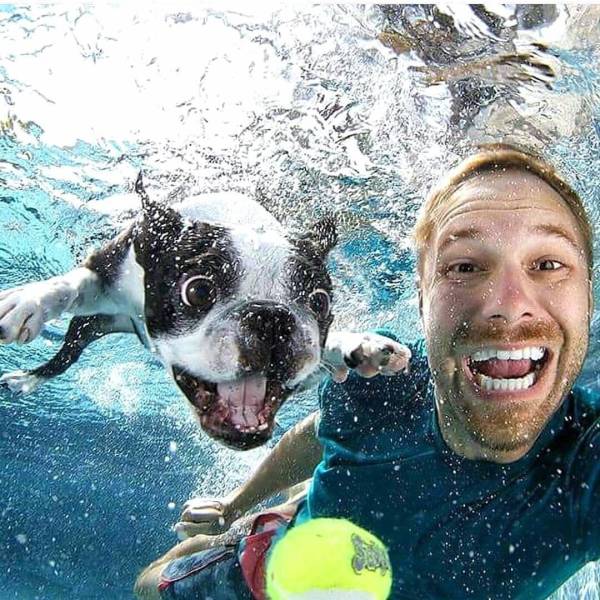 daily picdump 95 pics 30.html - 95 HD Photos | Premium Gallery 2017