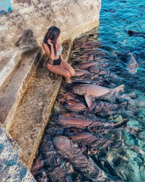 daily picdump 95 pics 30.html - 95 HD Photos | Premium Gallery 2017