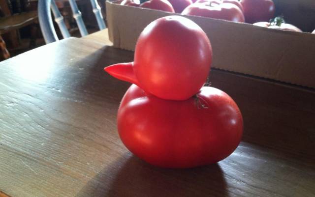 daily picdump 95 pics 30.html - 95 HD Photos | Premium Gallery 2017