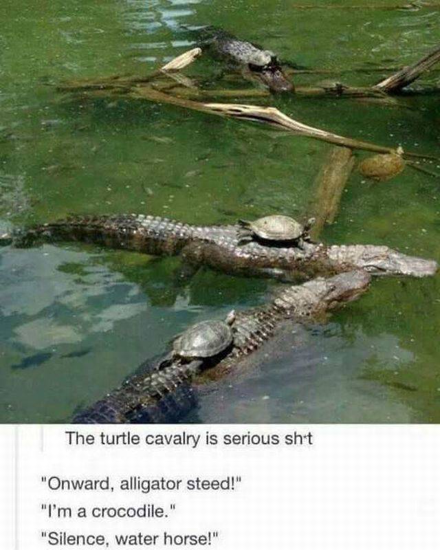 daily picdump 95 pics 30.html - 95 HD Photos | Premium Gallery 2017