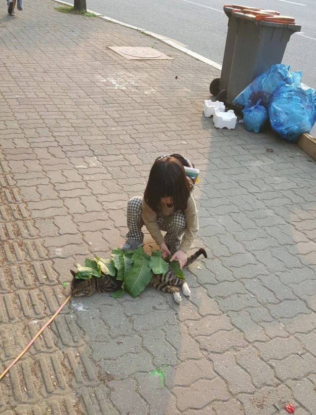 daily picdump 95 pics 30.html - 95 HD Photos | Premium Gallery 2017