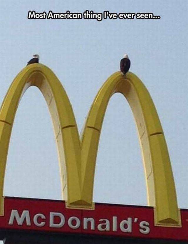 daily picdump 95 pics 30.html - 95 HD Photos | Premium Gallery 2017