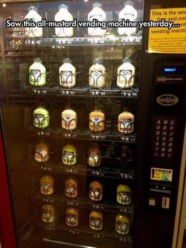 daily picdump 95 pics 30.html - 95 HD Photos | Premium Gallery 2017