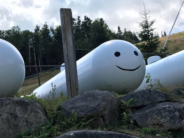 morning picdump 50 pics 1.html - 50 HD Photos | Premium Gallery 2017