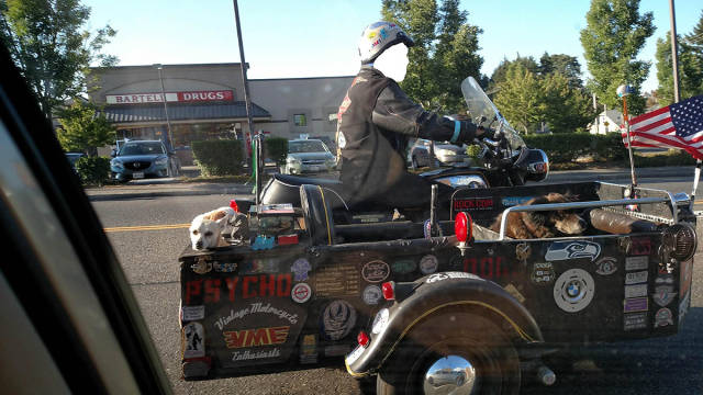 morning picdump 50 pics 1.html - 50 HD Photos | Premium Gallery 2017