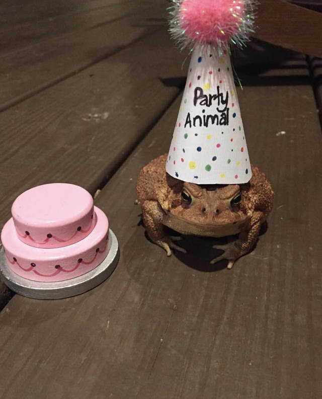 morning picdump 50 pics 1.html - 50 HD Photos | Premium Gallery 2017