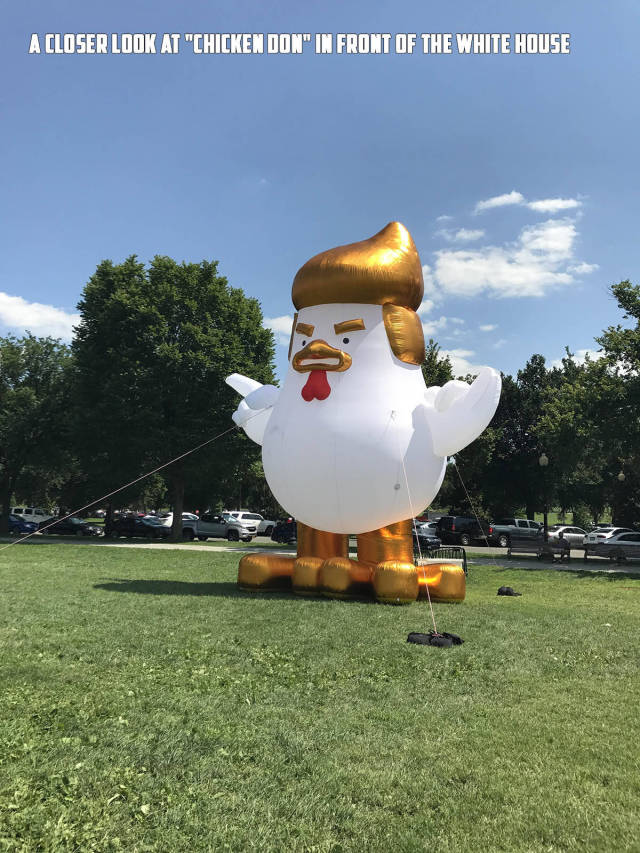 morning picdump 50 pics 1.html - 50 HD Photos | Premium Gallery 2017