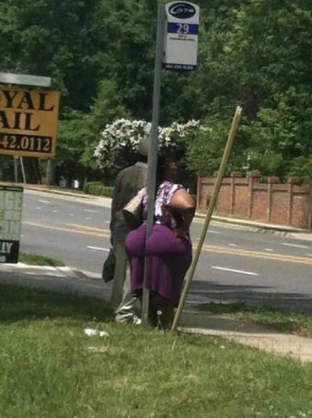 daily picdump 89 pics 25.html - 89 HD Photos | Premium Gallery 2017