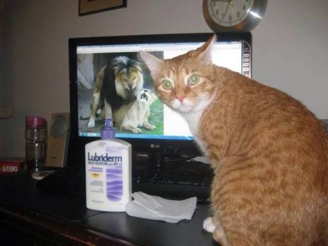 daily picdump 89 pics 25.html - 89 HD Photos | Premium Gallery 2017