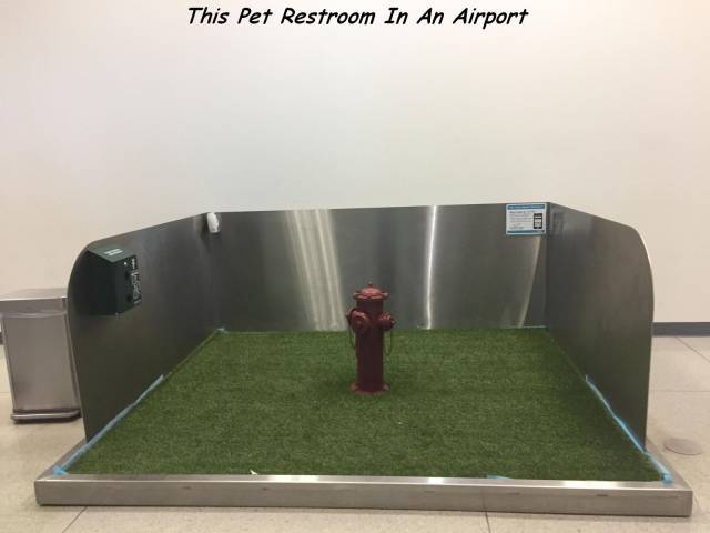 daily picdump 89 pics 25.html - 89 HD Photos | Premium Gallery 2017