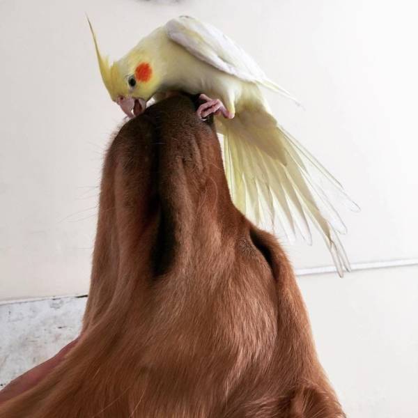 daily picdump 89 pics 25.html - 89 HD Photos | Premium Gallery 2017