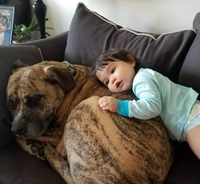 daily picdump 89 pics 25.html - 89 HD Photos | Premium Gallery 2017