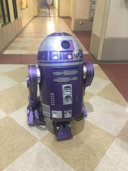 daily picdump 89 pics 25.html - 89 HD Photos | Premium Gallery 2017