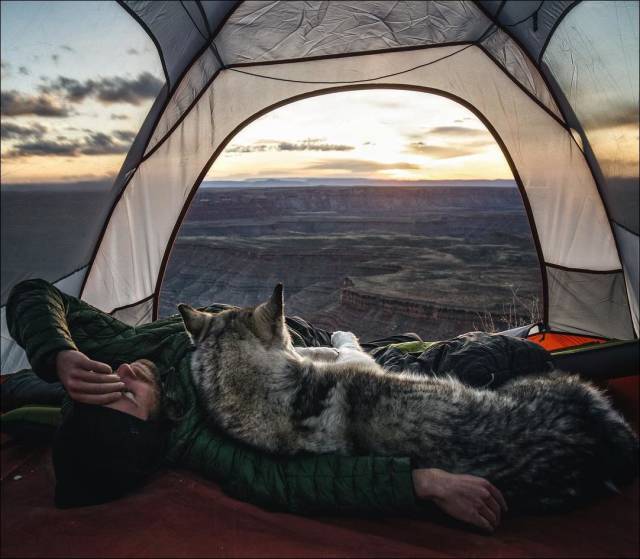 daily picdump 89 pics 25.html - 89 HD Photos | Premium Gallery 2017