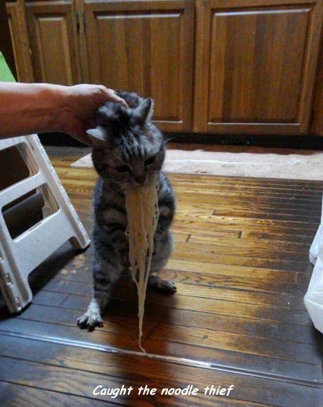 daily picdump 89 pics 25.html - 89 HD Photos | Premium Gallery 2017