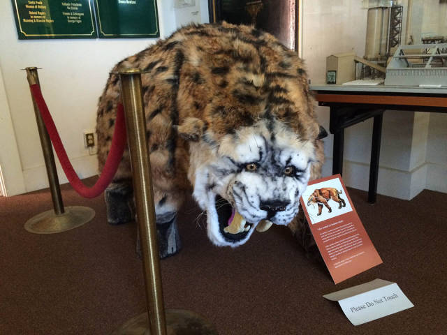 morning picdump 52 pics 2.html - 52 HD Photos | Premium Gallery 2017