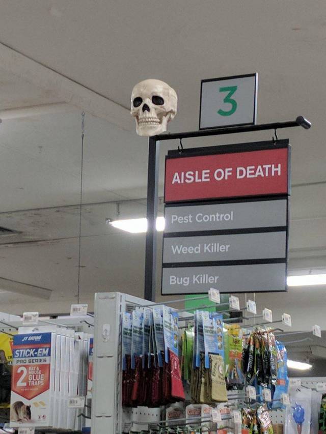 morning picdump 52 pics 2.html - 52 HD Photos | Premium Gallery 2017