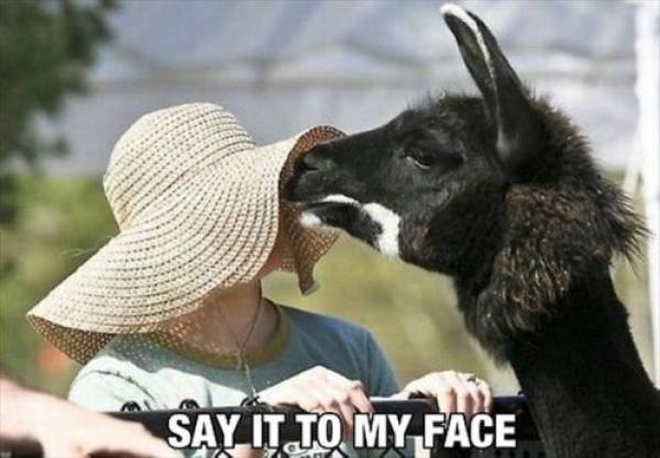 Well, That Escalated Quickly