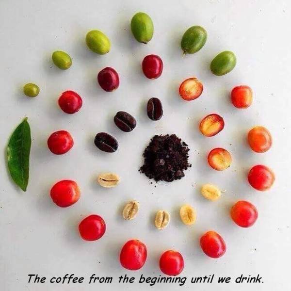 Daily Picdump [WEEKEND EDITION]