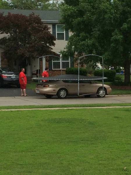 Daily Picdump [WEEKEND EDITION]