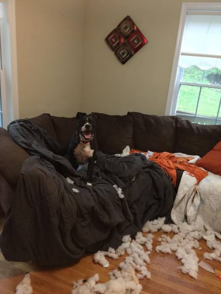 Daily Picdump [WEEKEND EDITION]