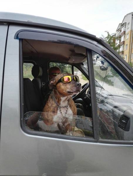 Daily Picdump [WEEKEND EDITION]