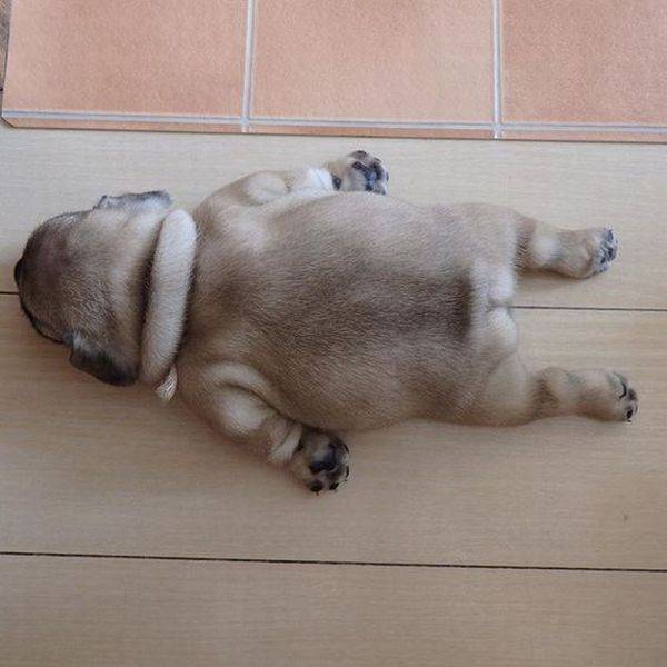 Daily Picdump [WEEKEND EDITION]