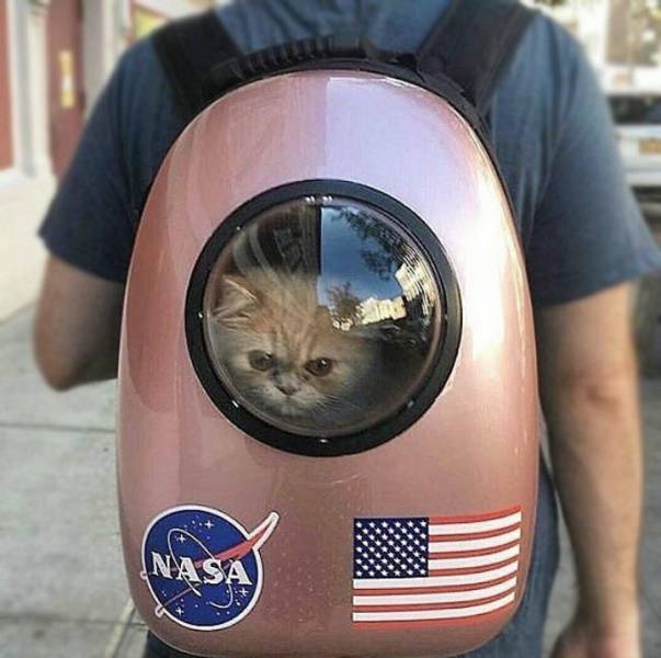 Daily Picdump [WEEKEND EDITION]